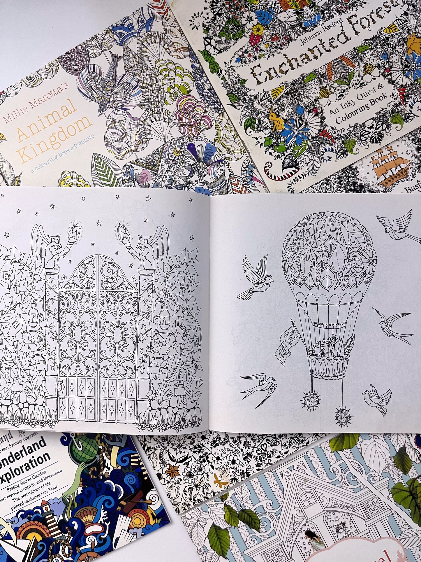 Johanna Coloring Books - ShopHaul