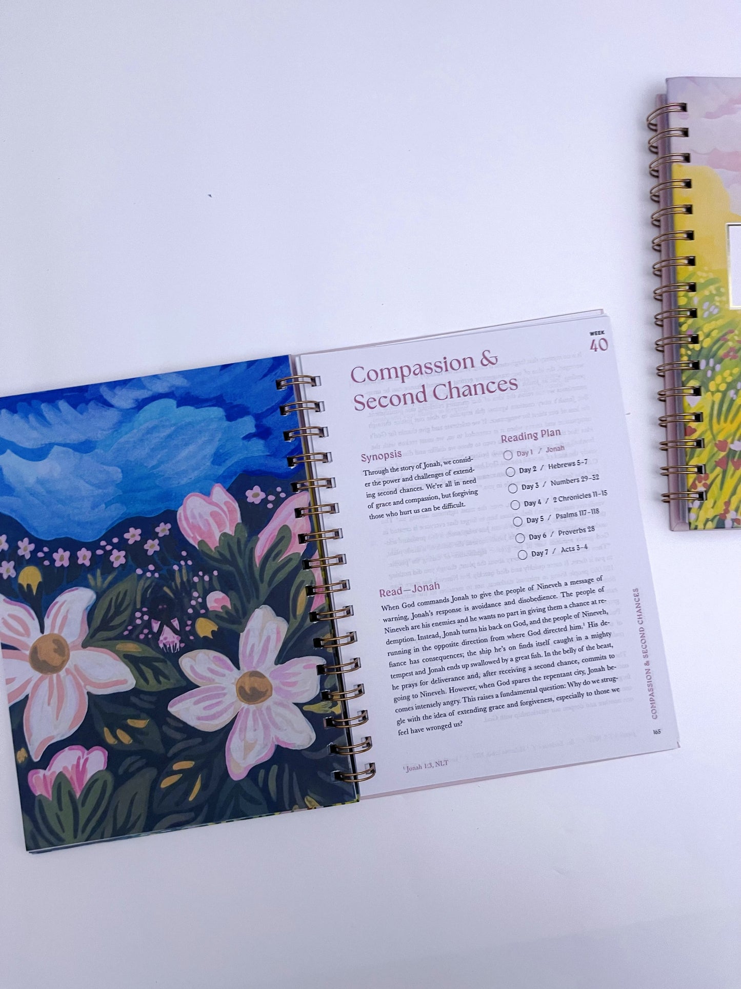 A 52-week Bible Study Plan for Women - ShopHaul
