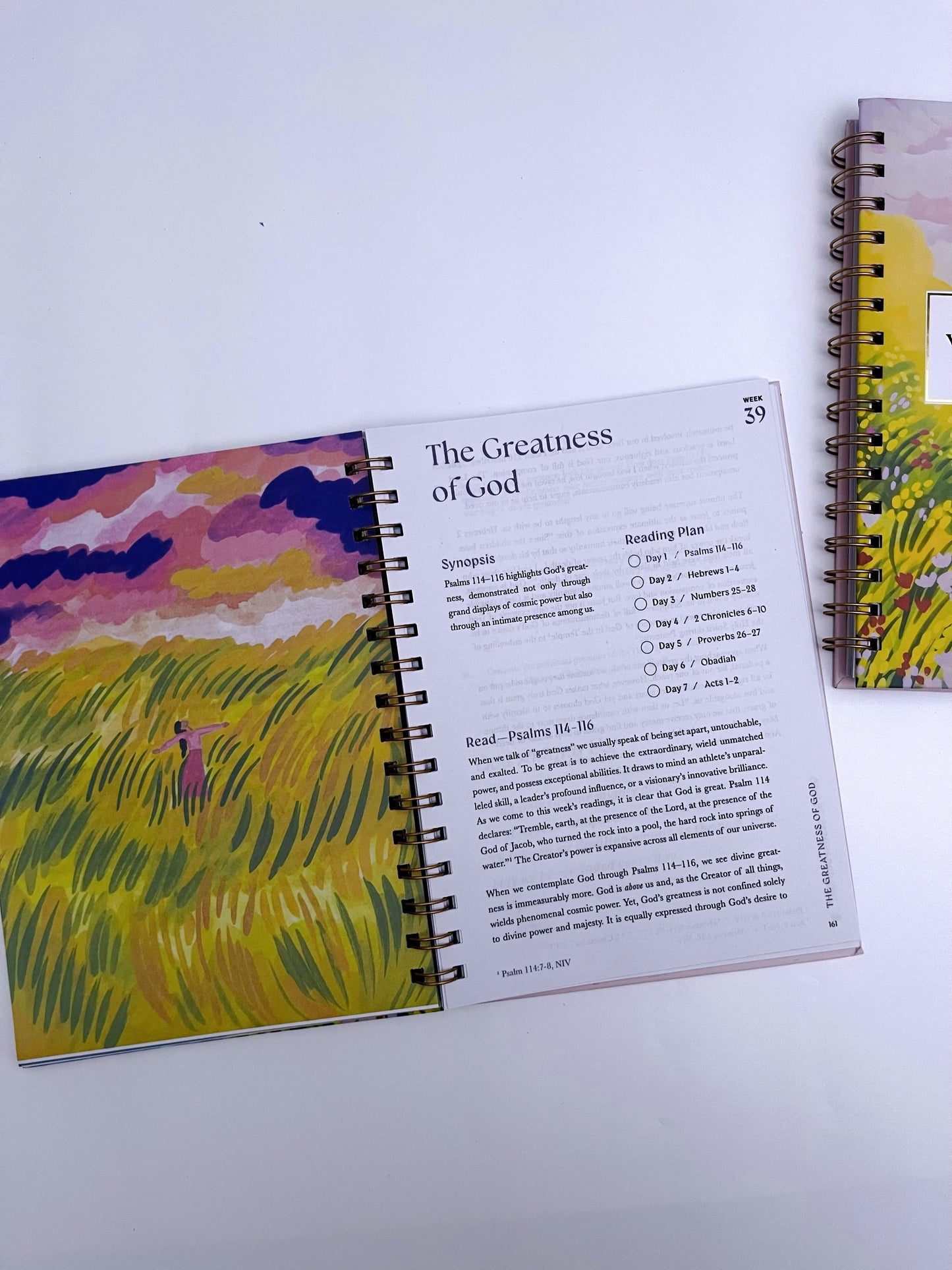 A 52-week Bible Study Plan for Women - ShopHaul