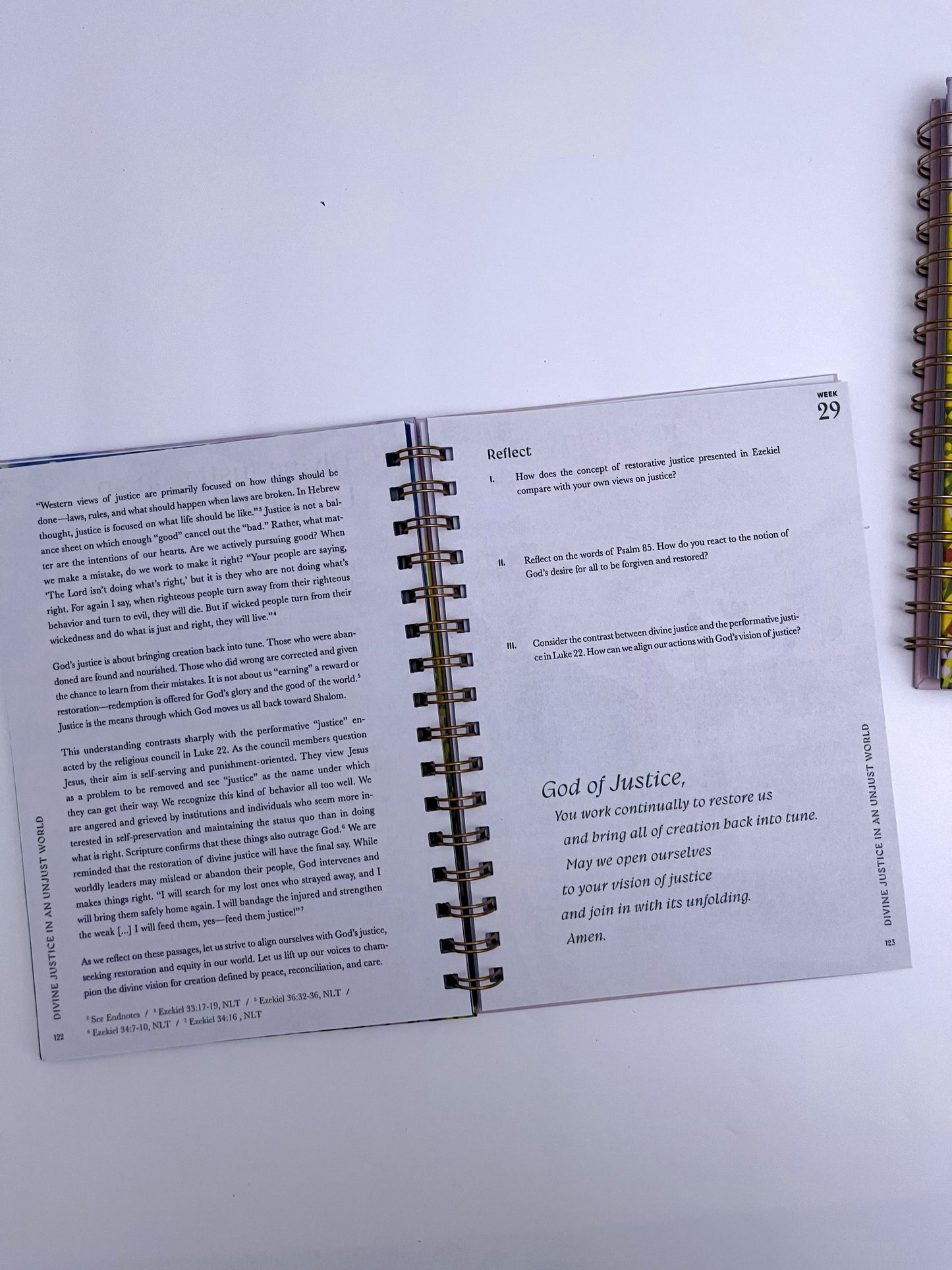 A 52-week Bible Study Plan for Women - ShopHaul