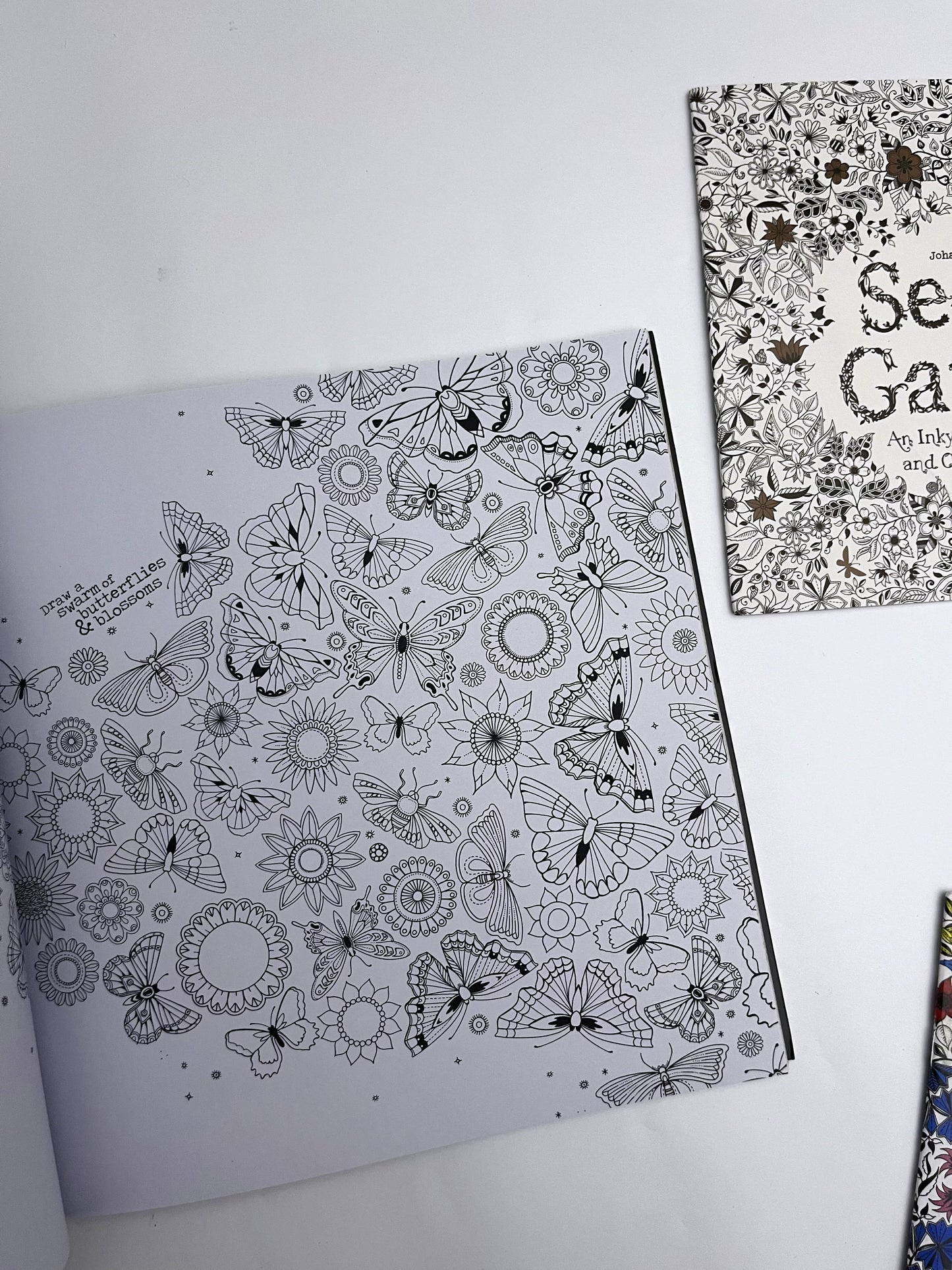Large Secret Garden Coloring Book - ShopHaul