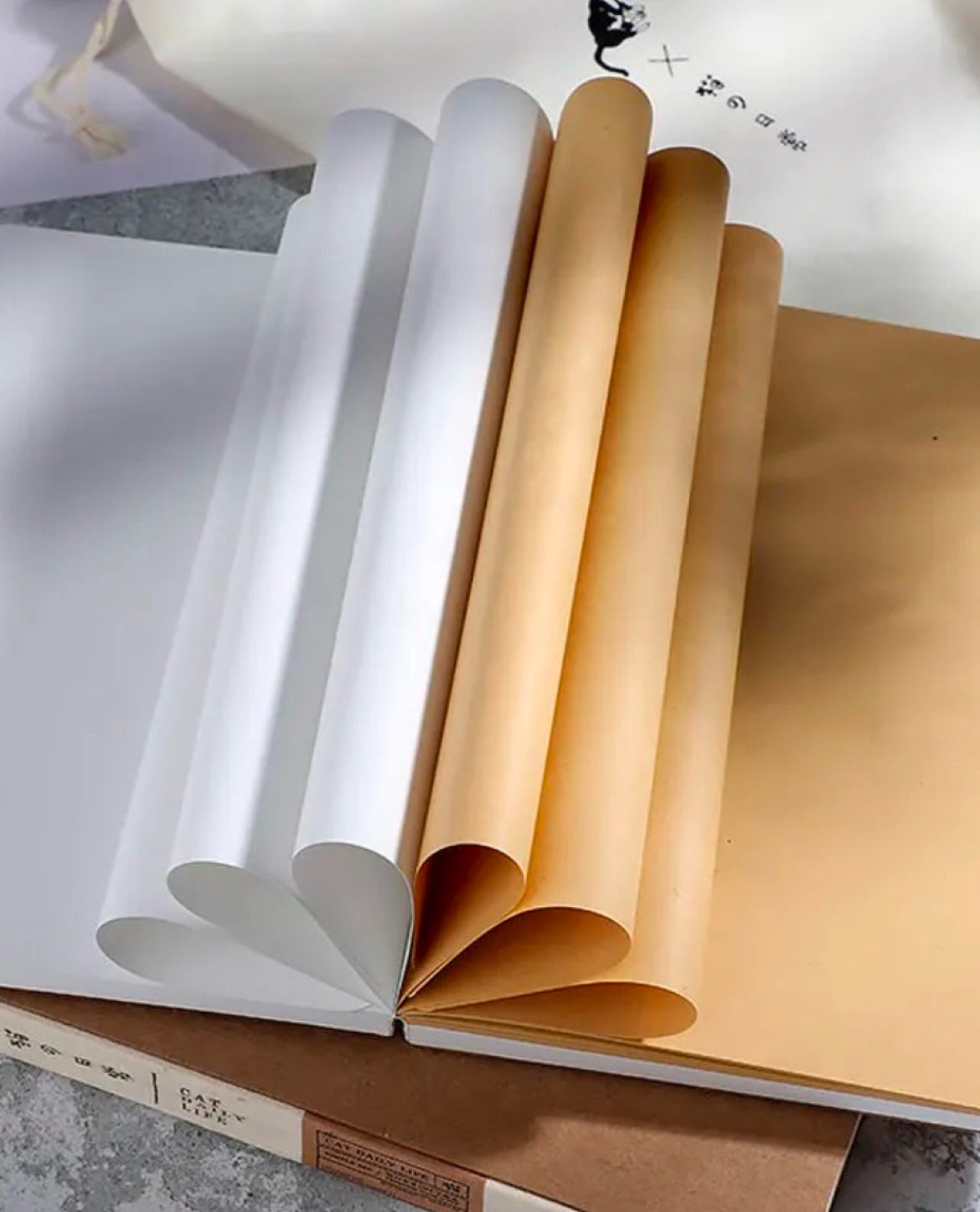 Cat Diary (Blank Sheets) + Accessories (Boxed) - ShopHaul