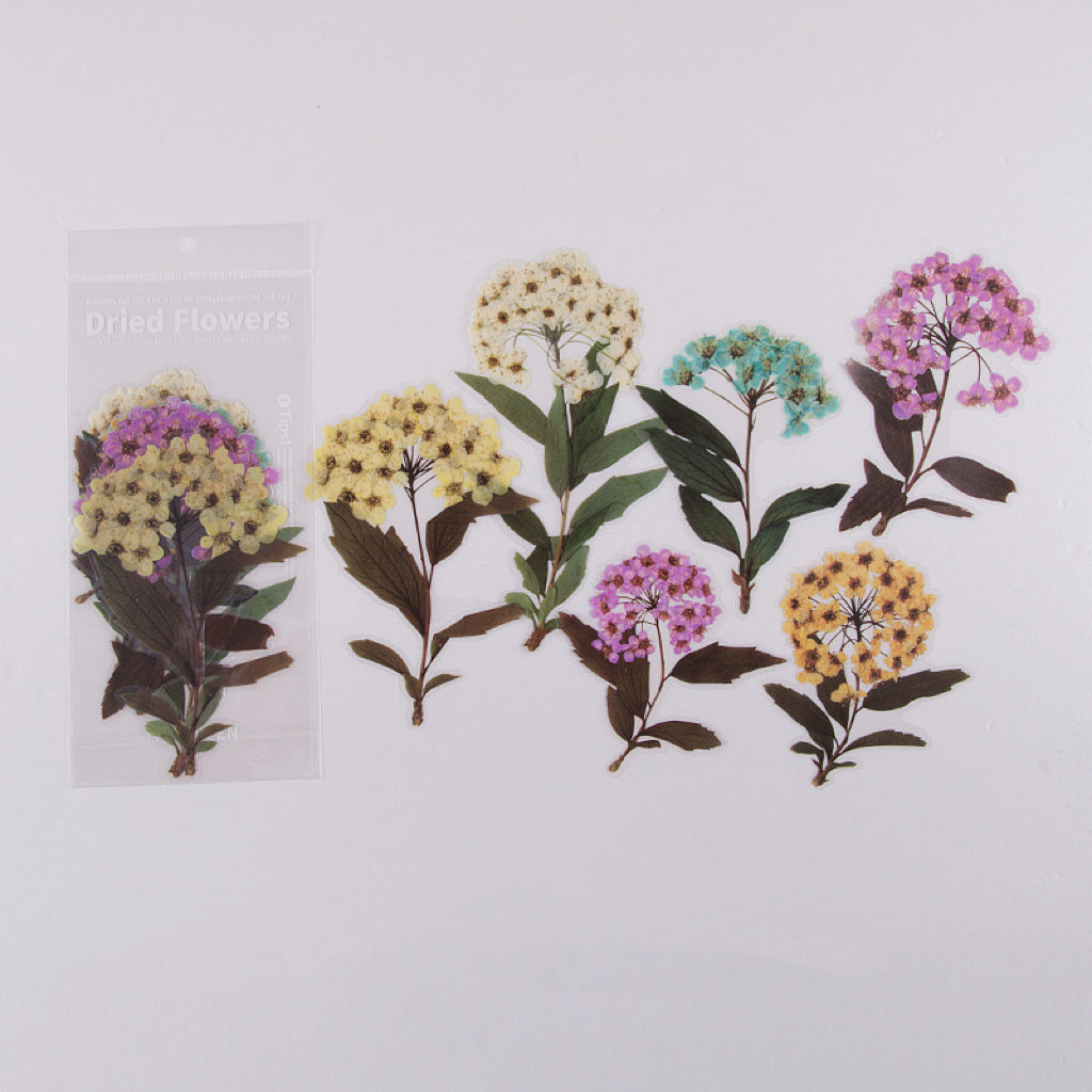 Dried Flower Stickers Set - ShopHaul