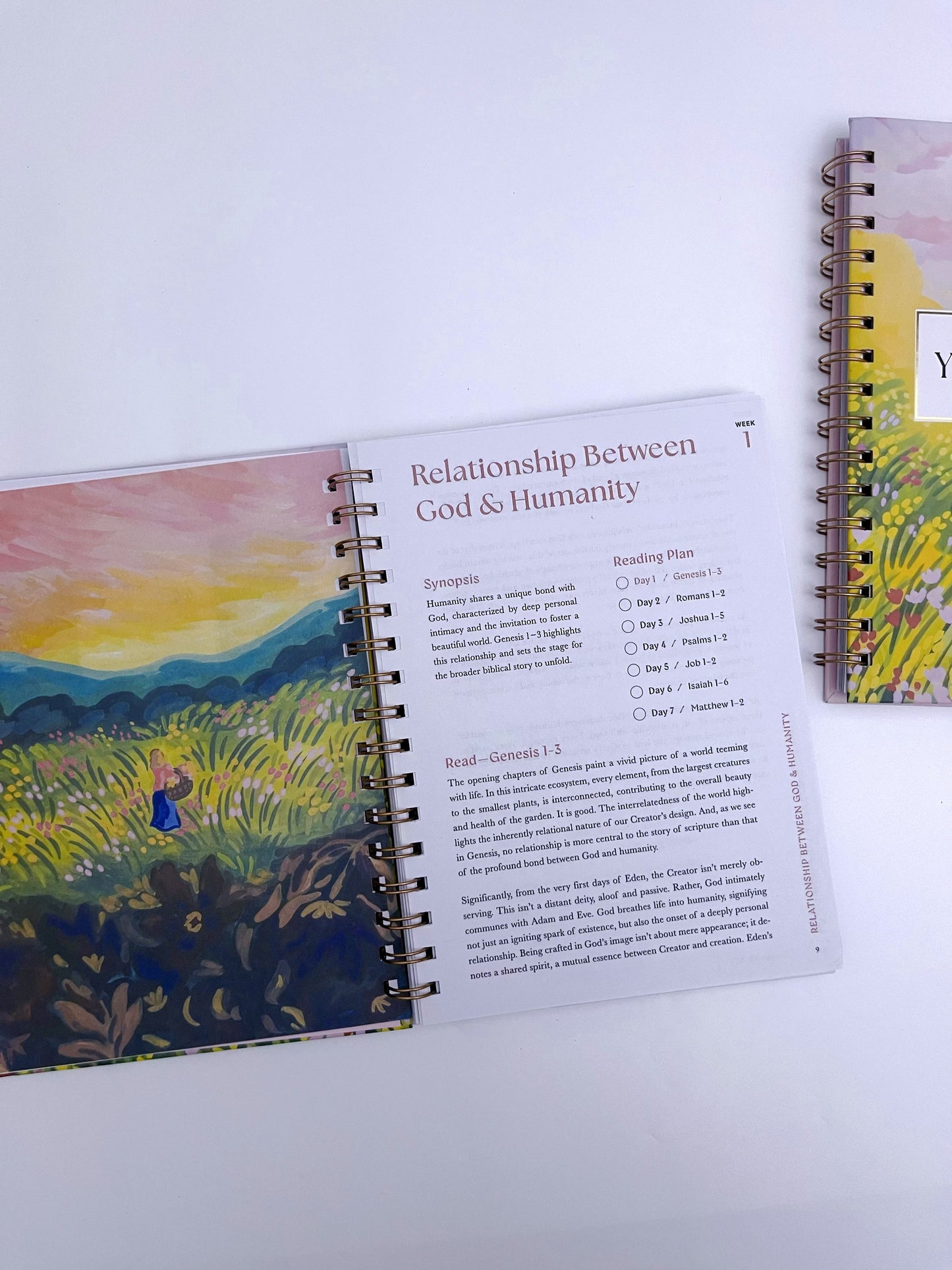 A 52-week Bible Study Plan for Women - ShopHaul