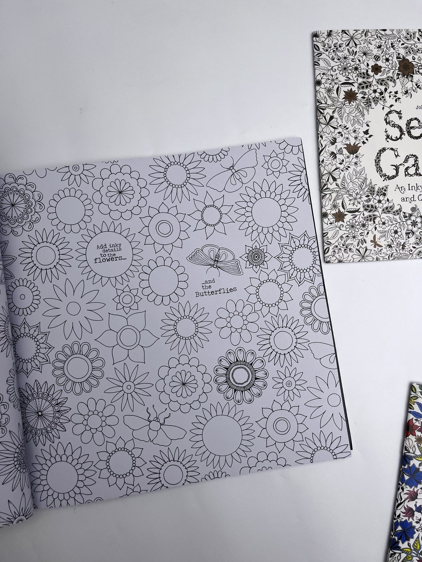 Large Secret Garden Coloring Book - ShopHaul
