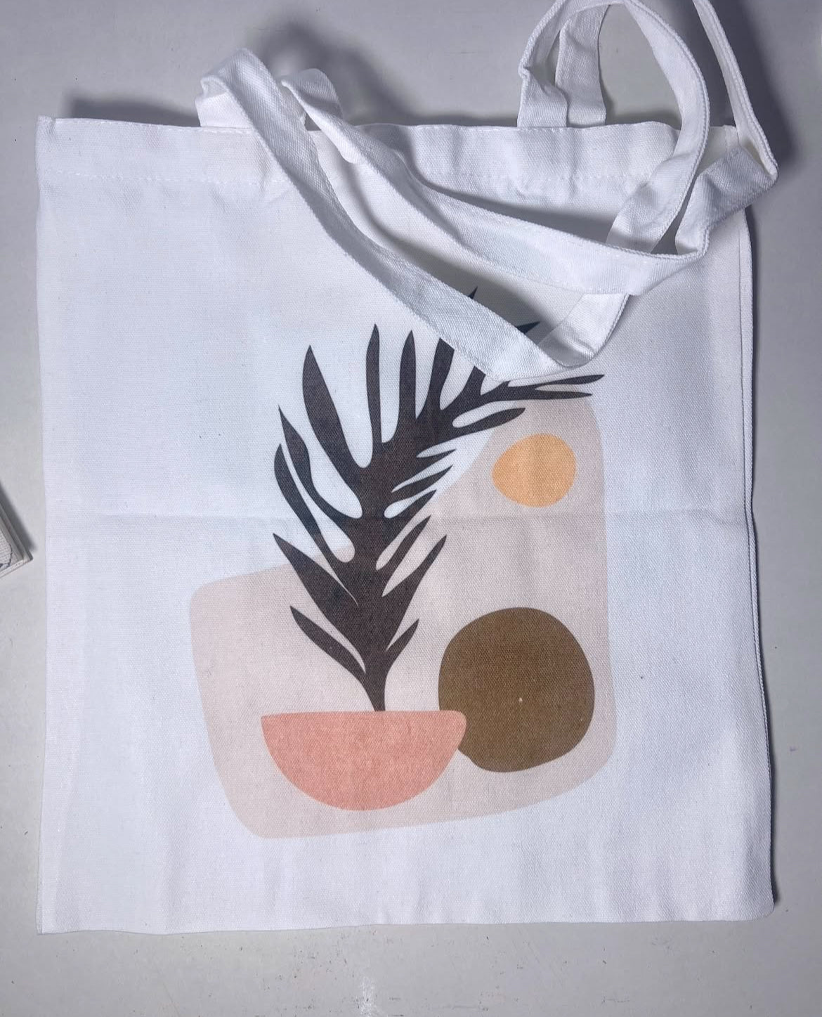 Canvas Aesthetic Tote Bags - ShopHaul