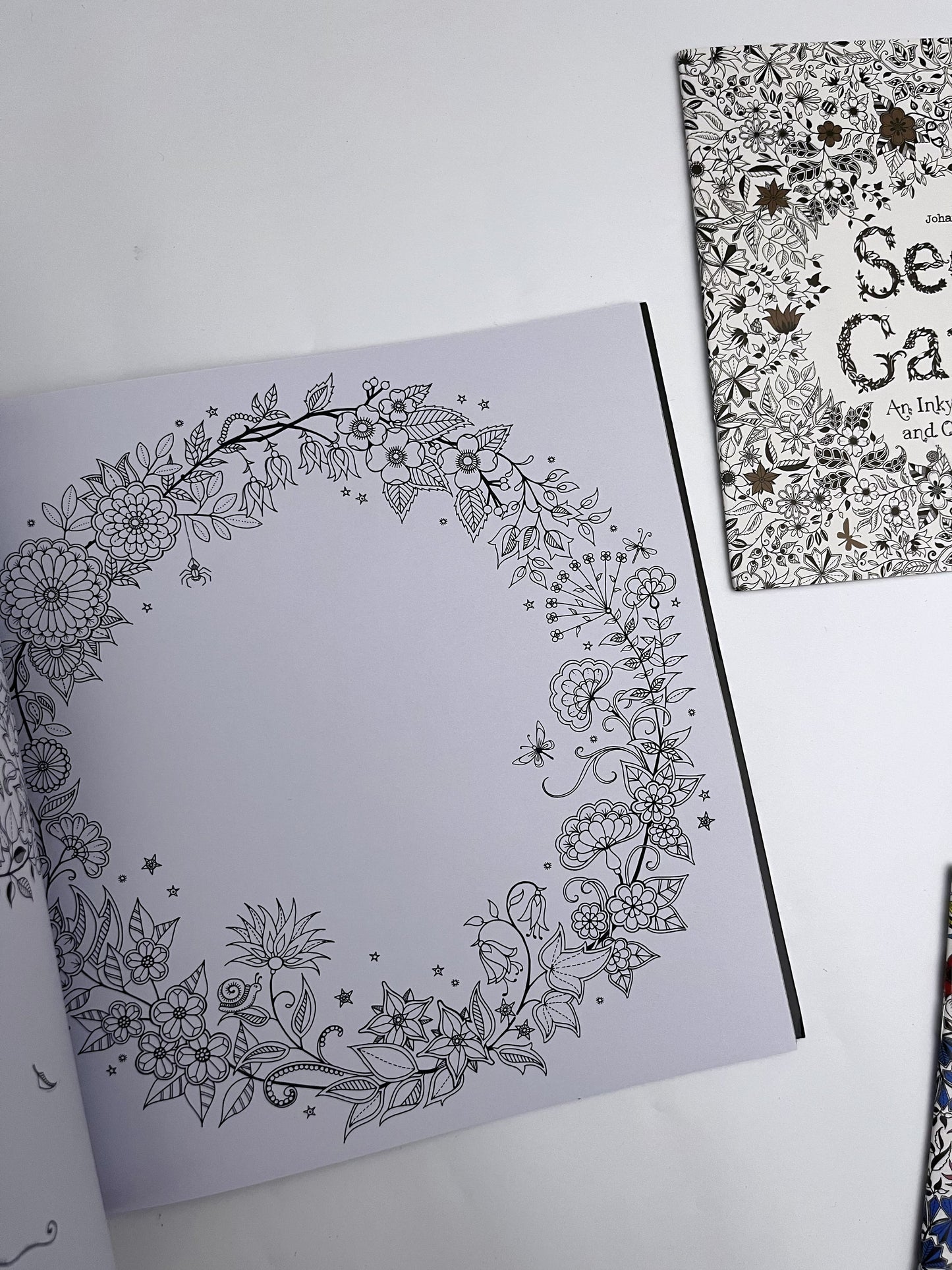 Large Secret Garden Coloring Book - ShopHaul