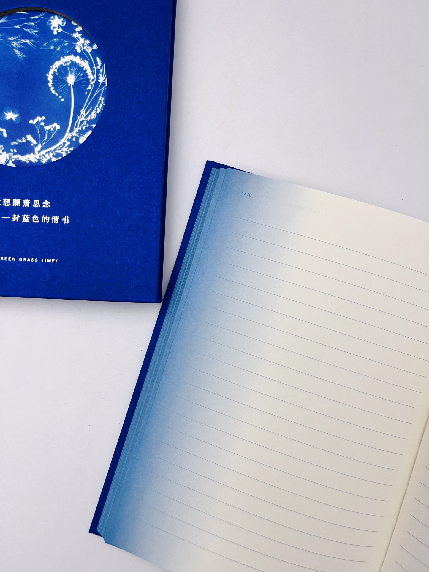 The Blue Journal