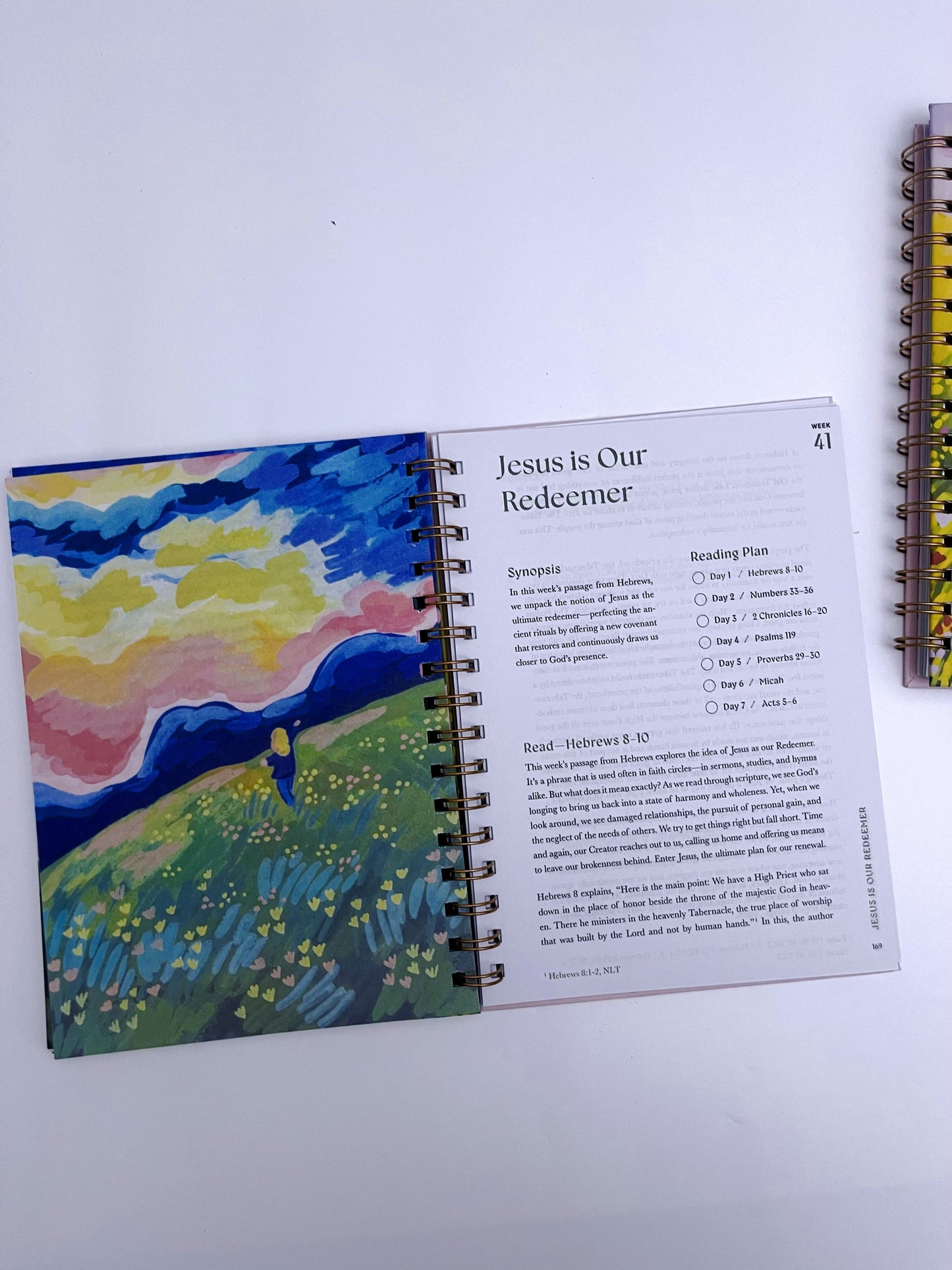 A 52-week Bible Study Plan for Women - ShopHaul