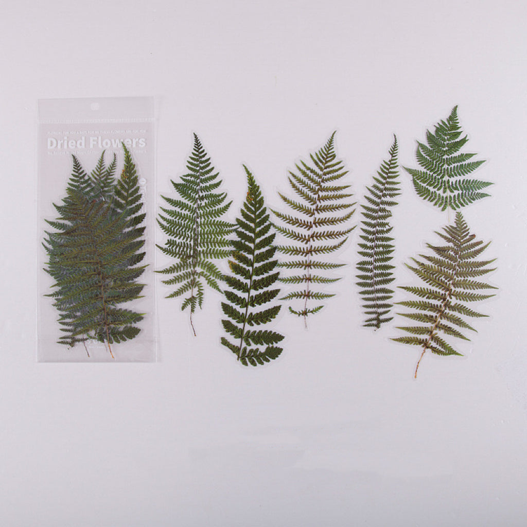 Dried Flower Stickers Set - ShopHaul