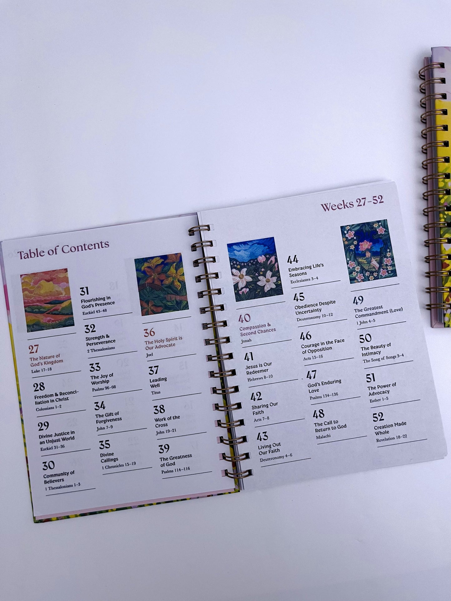 A 52-week Bible Study Plan for Women - ShopHaul