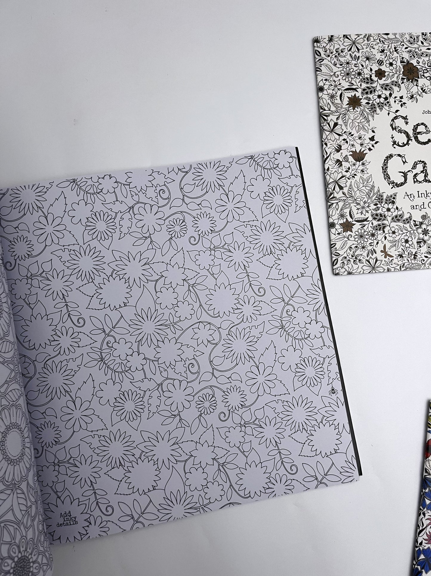 Large Secret Garden Coloring Book - ShopHaul