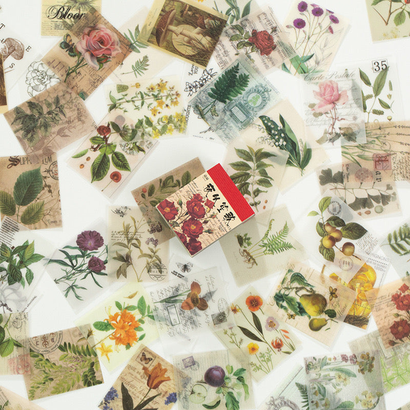 366 Mini Sulfuric Acid Scrap Papers Set - ShopHaul