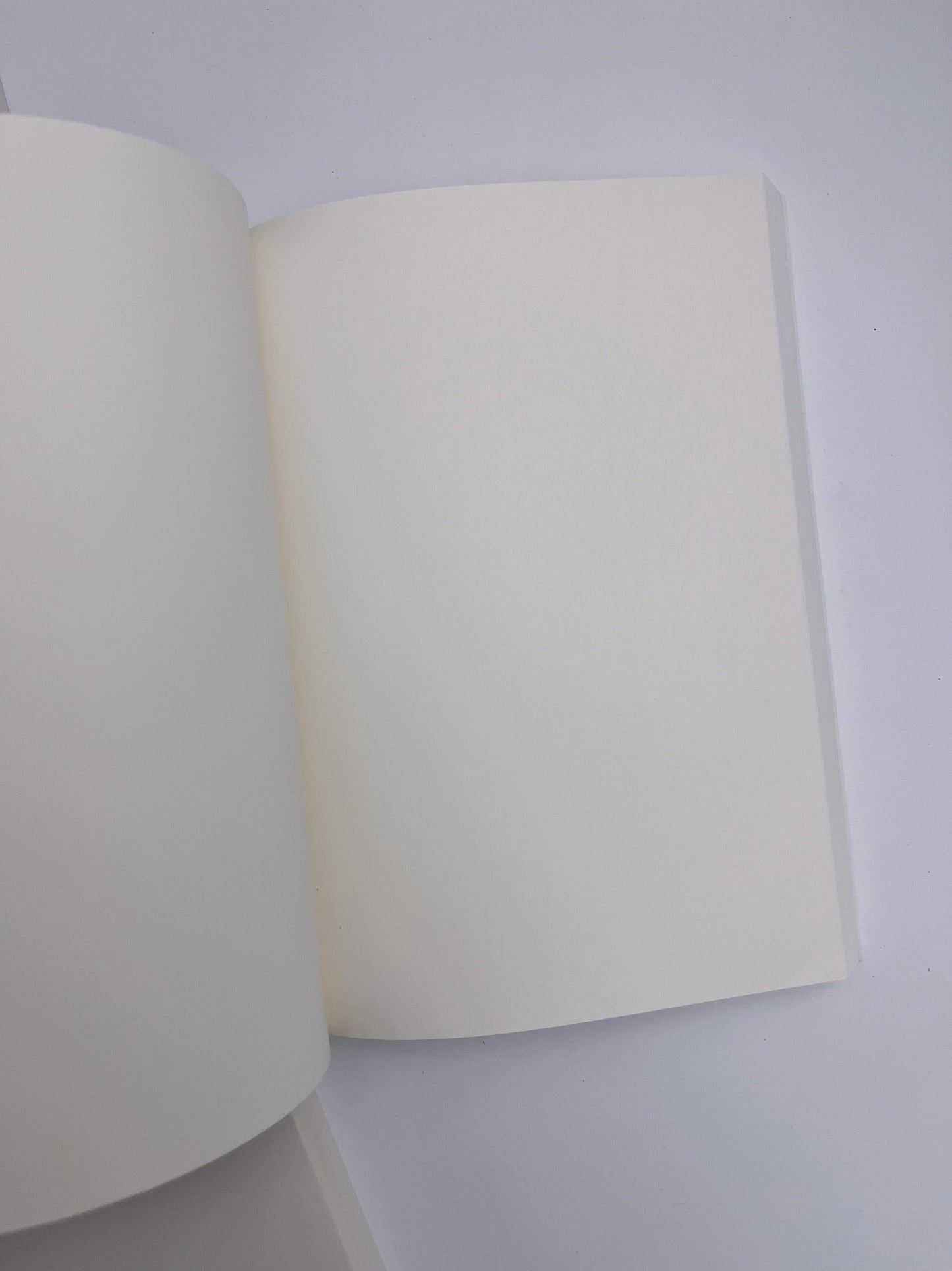 Do Anything Blank A5 Journal (More pages)