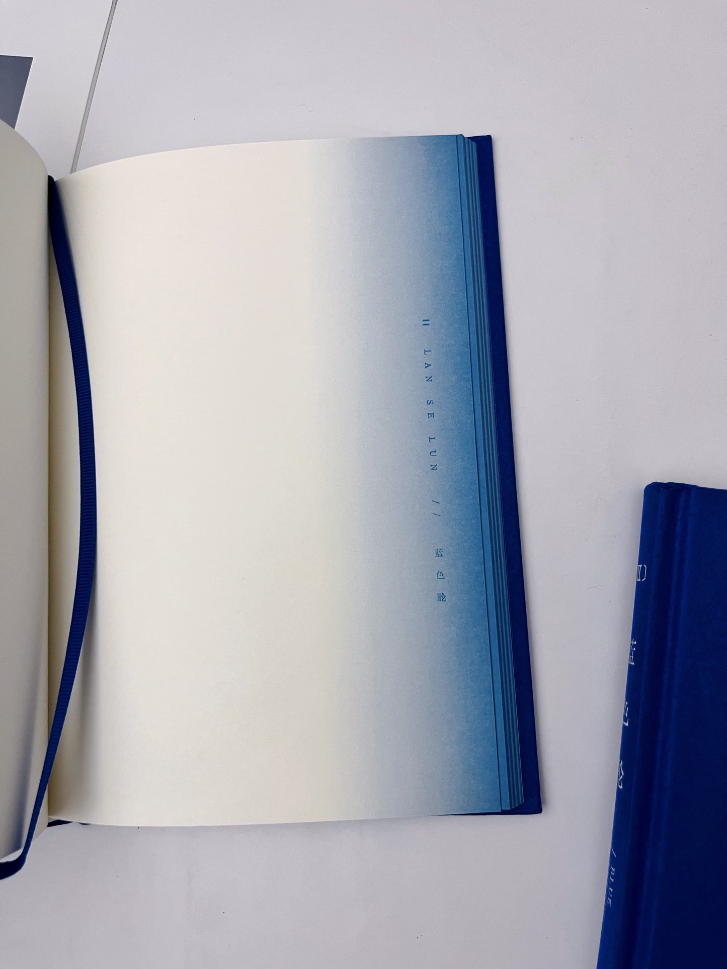 The Blue Journal