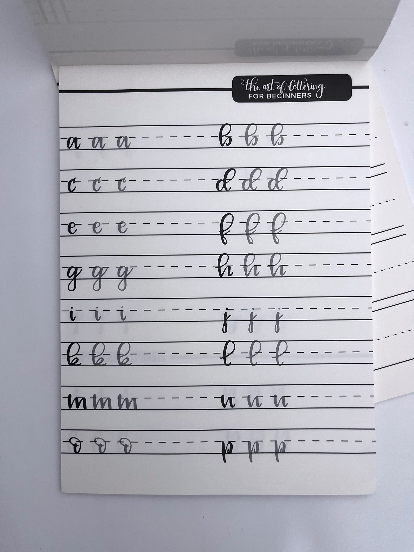 Calligraphy Practice Book (40 sheets) - ShopHaul