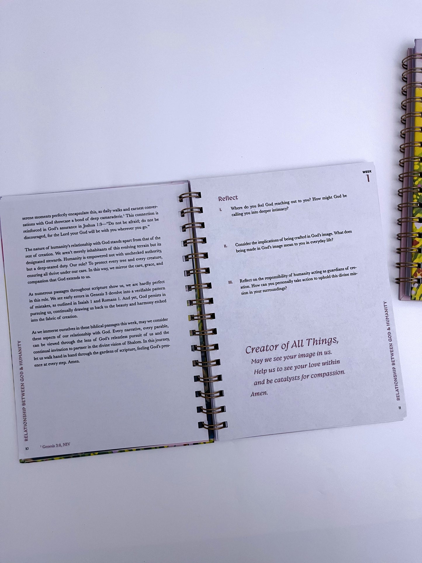 A 52-week Bible Study Plan for Women - ShopHaul