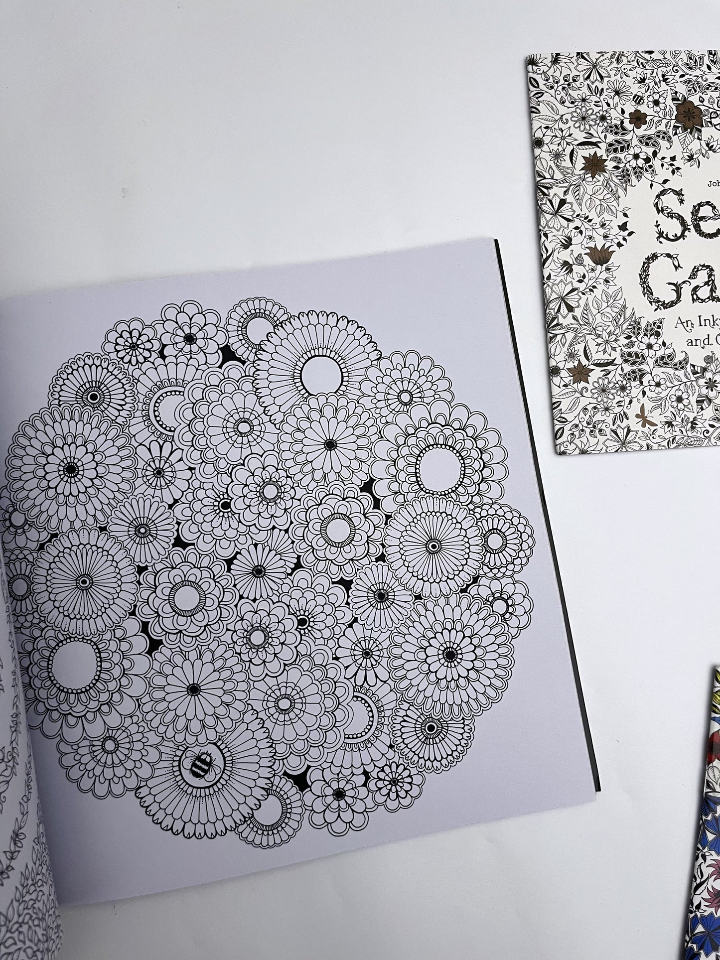 Large Secret Garden Coloring Book - ShopHaul