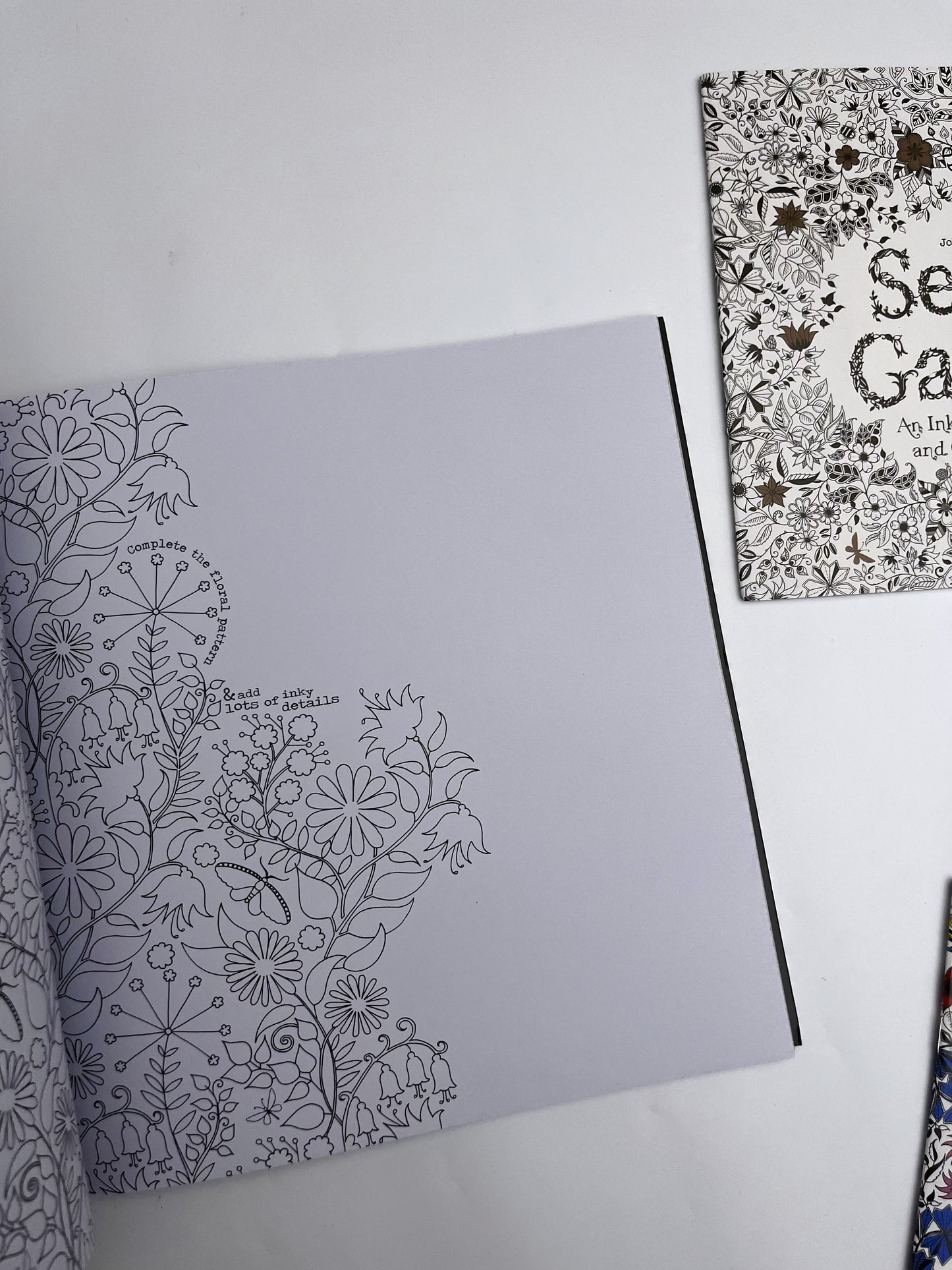 Large Secret Garden Coloring Book - ShopHaul