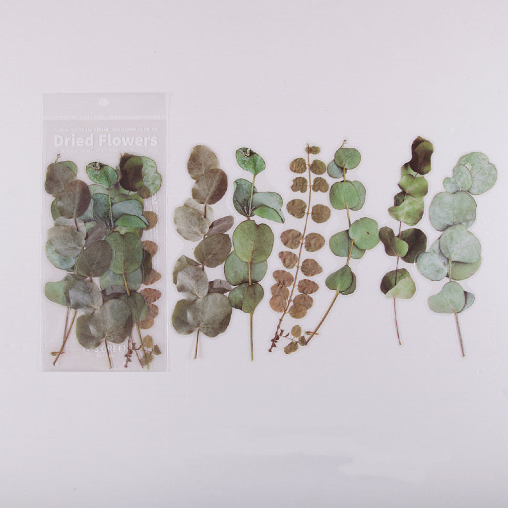 Dried Flower Stickers Set - ShopHaul