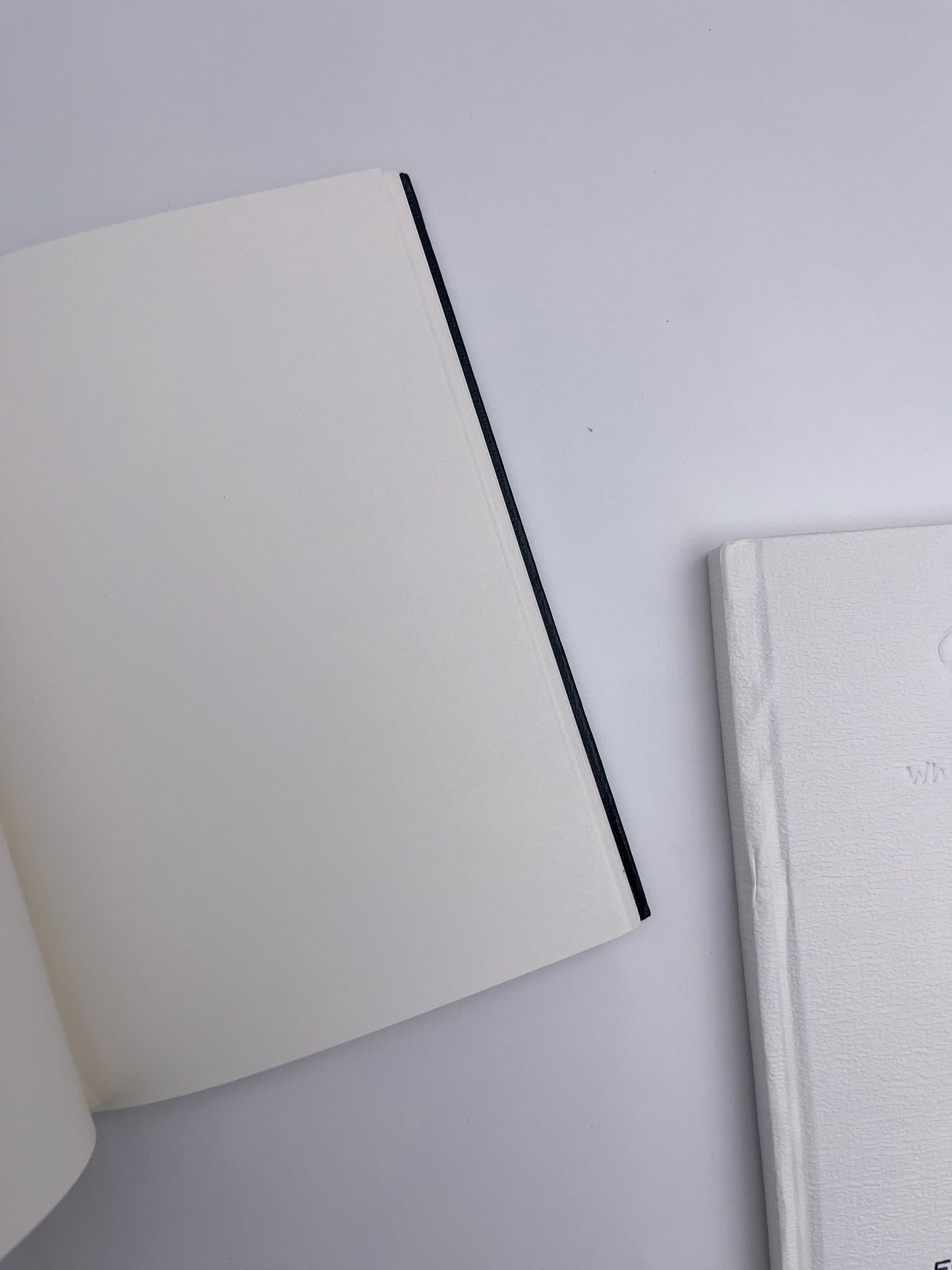 WDIT Blank Sheets B6 Journal (192 pages)