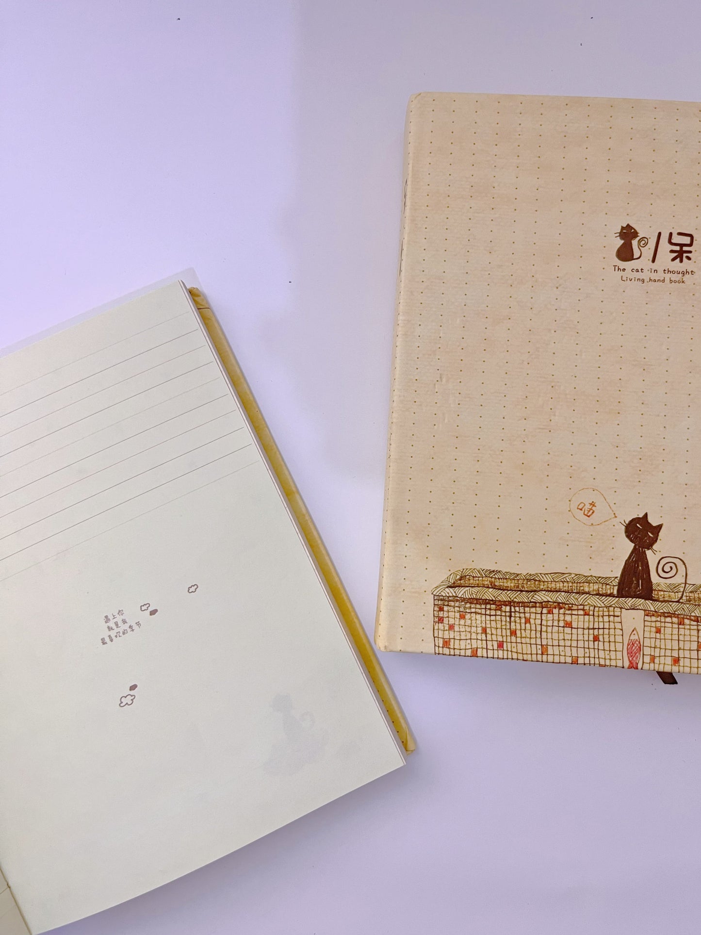 Cute Cat Cartoon A5 Journal - ShopHaul