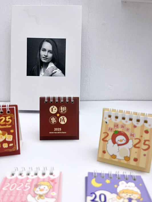 Mini 2025 Desk Calendar - ShopHaul