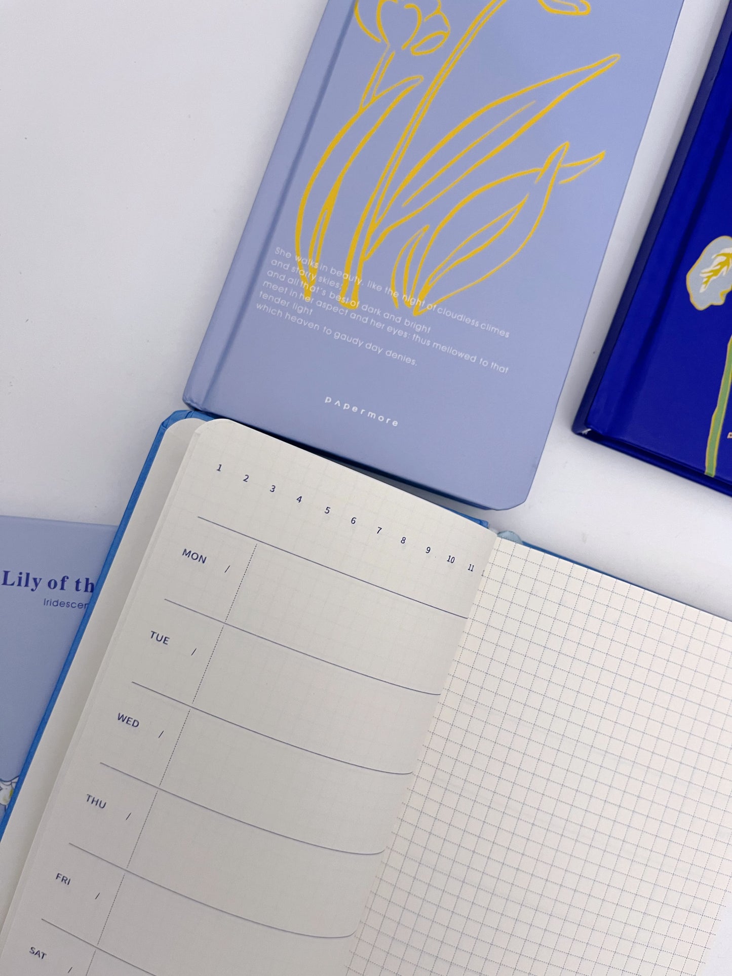 PaperMore Weekly Planner / Journal Book (84 weeks)