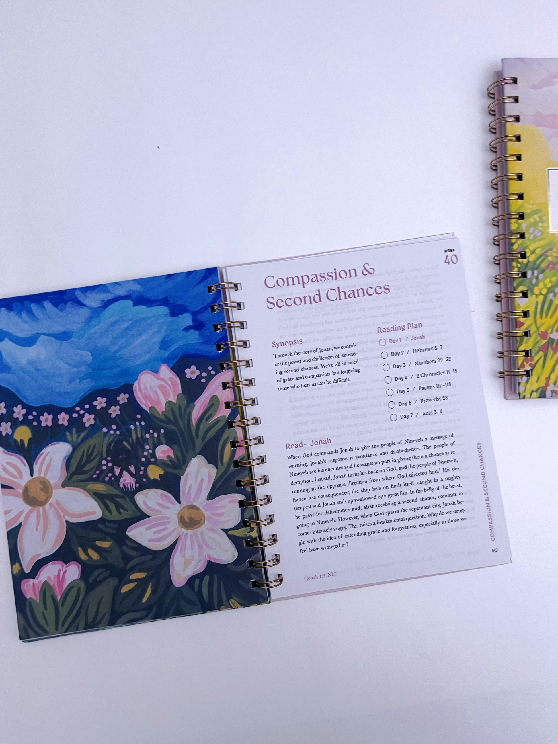 A 52-week Bible Study Plan for Women - ShopHaul
