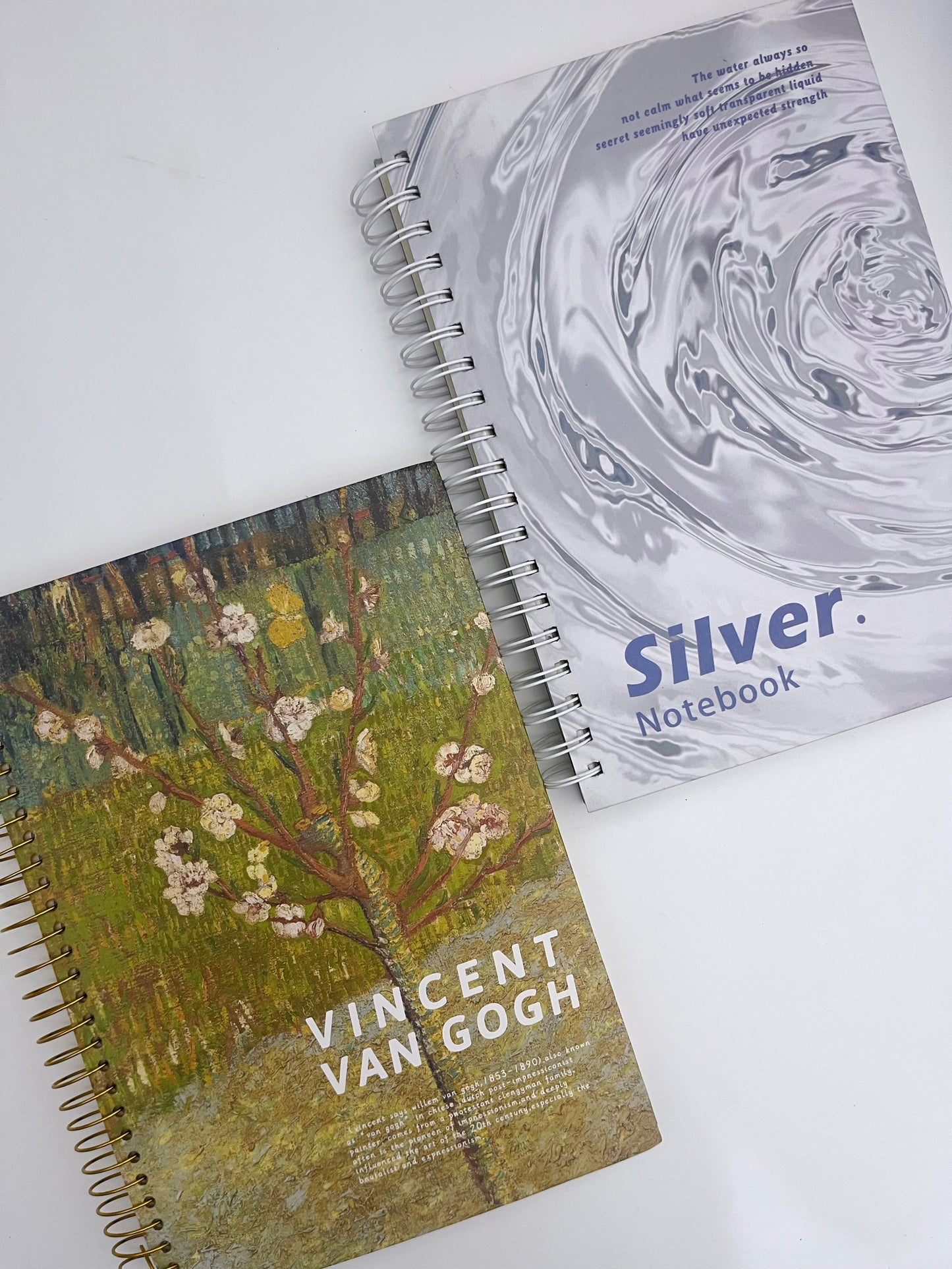 B5 Spiral Hardcover Lined Notebook (300 pages)