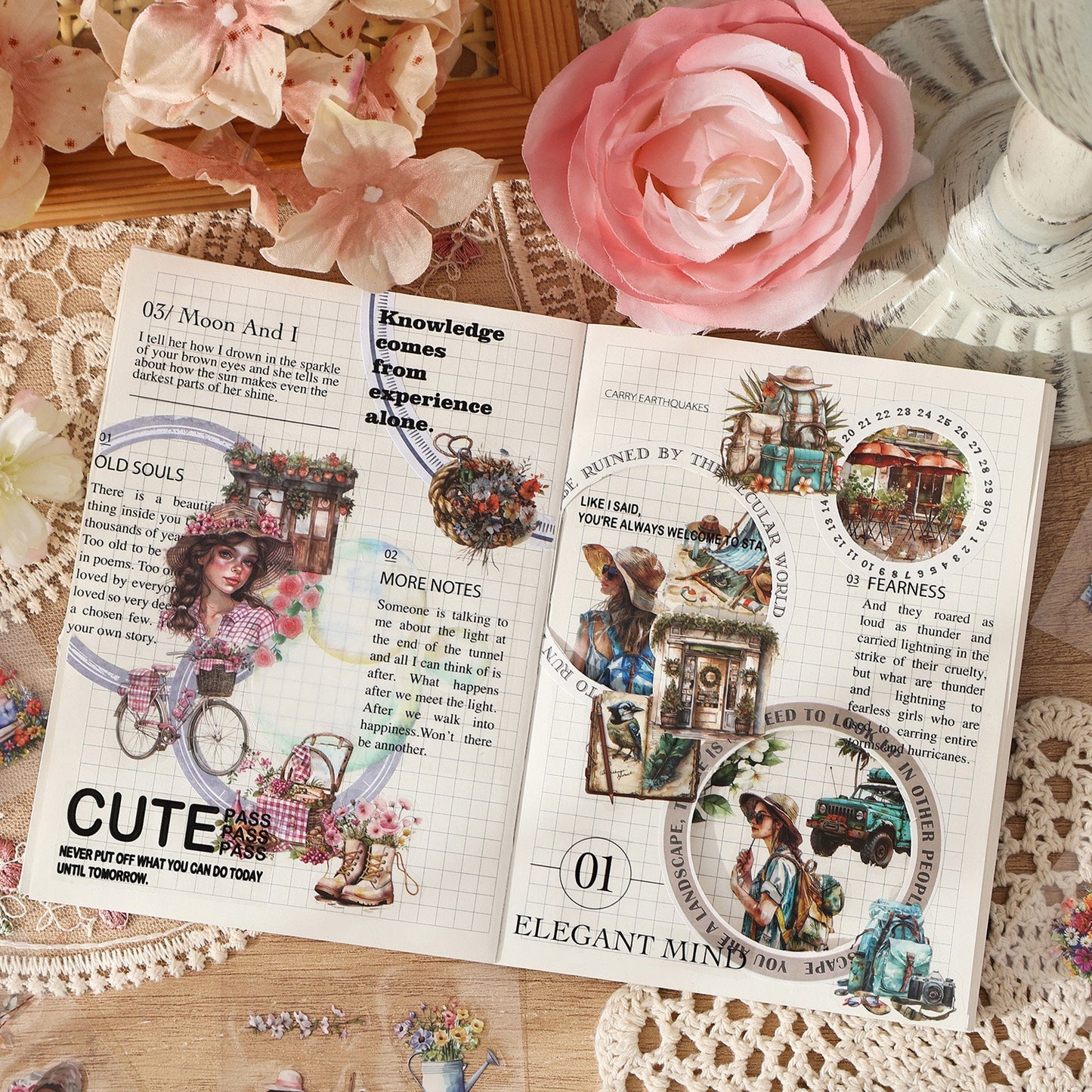 PET Stickers Box (100 mini sheets)