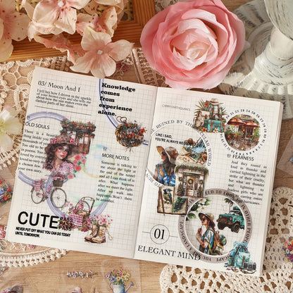 PET Stickers Box (100 mini sheets)
