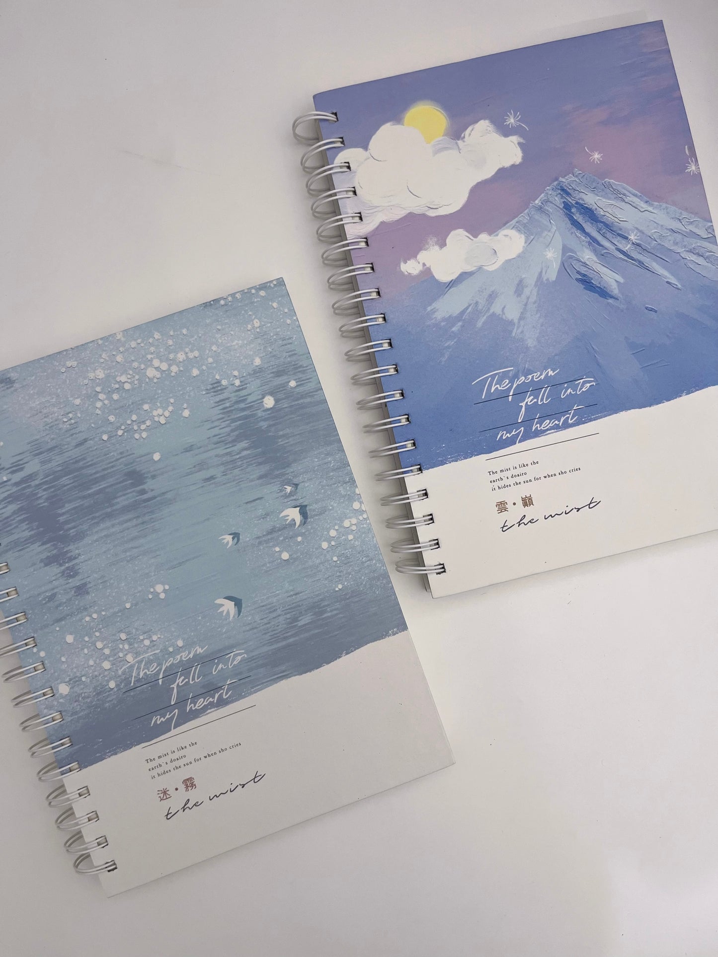 B5 Spiral Hardcover Lined Notebook (300 pages)