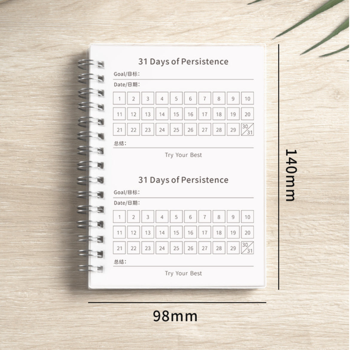 A6 Daily Check-in / Habit Tracking Book
