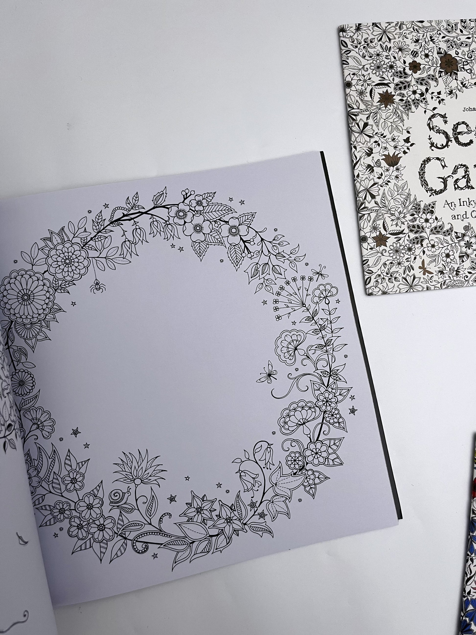 Large Secret Garden Coloring Book - ShopHaul