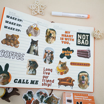 Sticker Pack Collection (30 pcs)