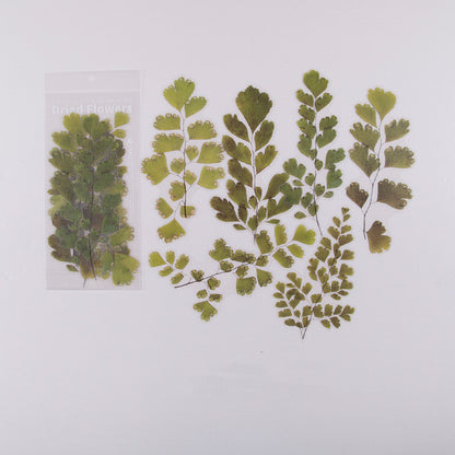 Dried Flower Stickers Set - ShopHaul