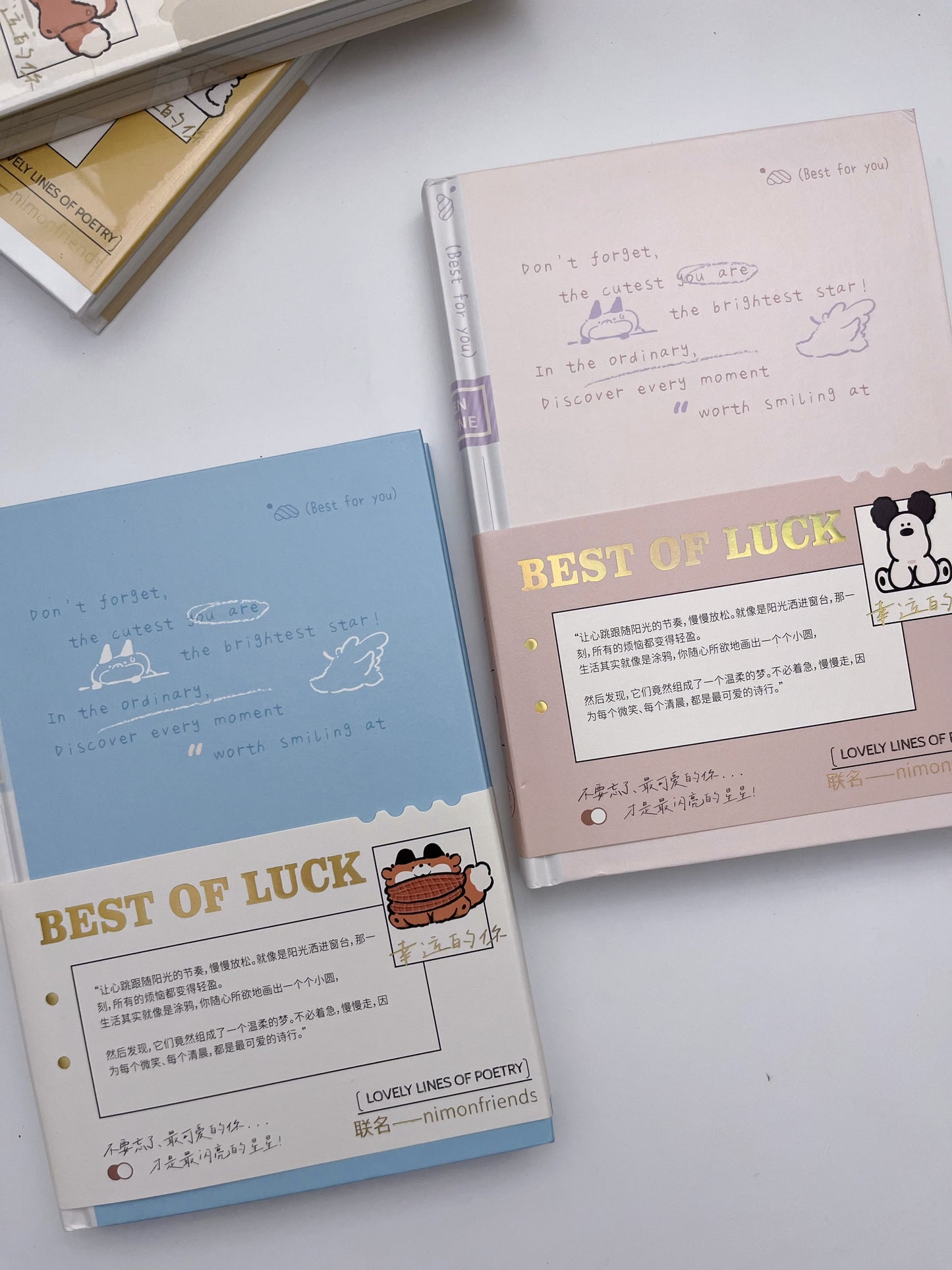 Best of Luck (Lined, Blank Mix) Journal