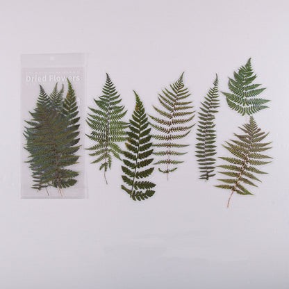 Dried Flower Stickers Set - ShopHaul