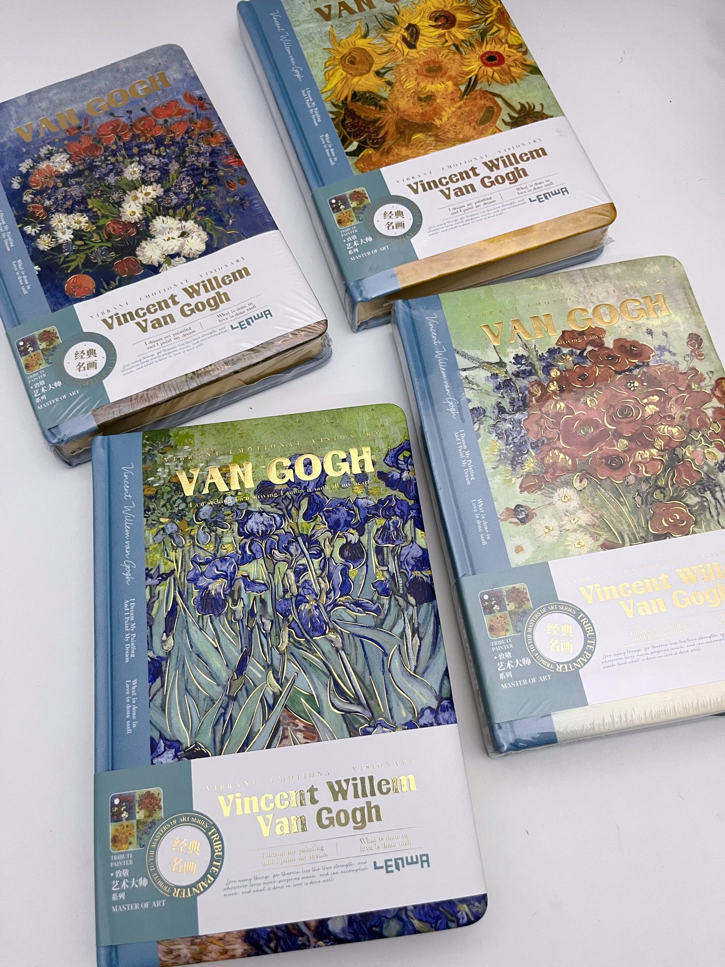 Vincent Van Gogh A5 Journal (Blank + Lined Mix) - 288 pages