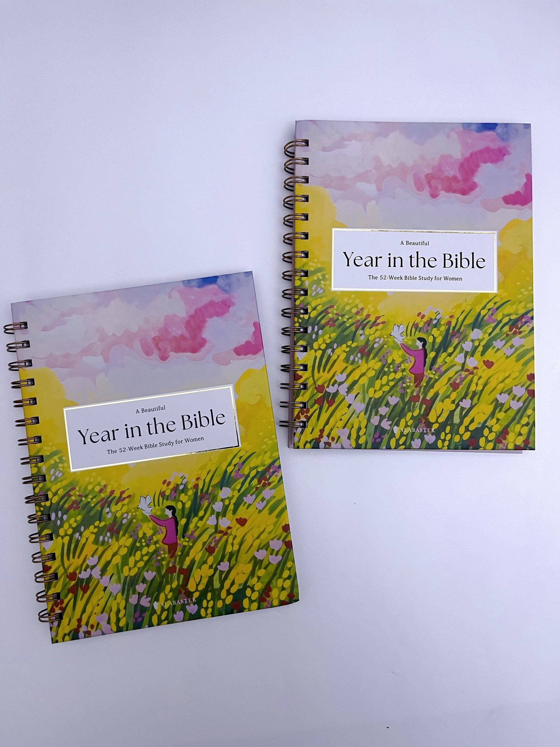 A 52-week Bible Study Plan for Women - ShopHaul