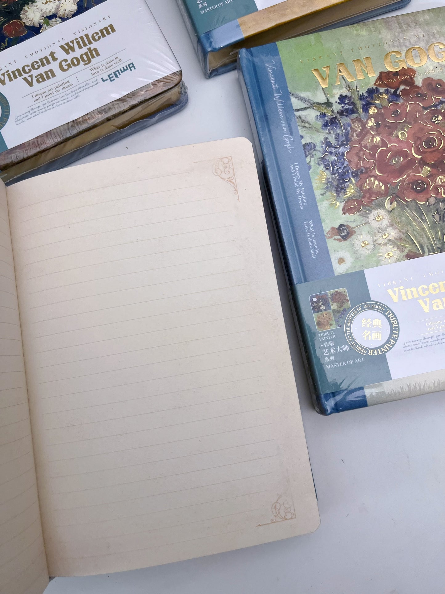 Vincent Van Gogh A5 Journal (Blank + Lined Mix) - 288 pages