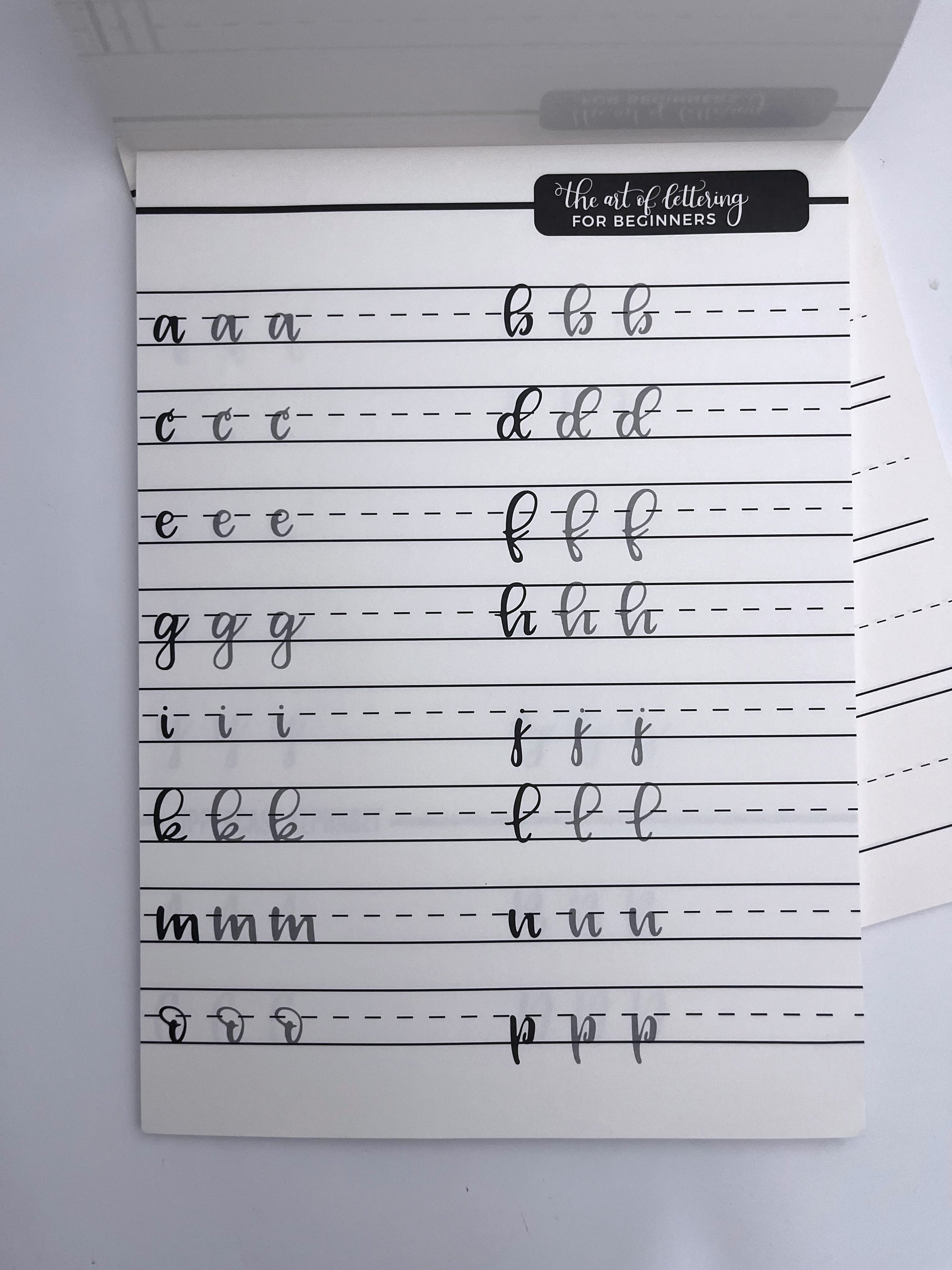 Calligraphy Practice Book (40 sheets) - ShopHaul