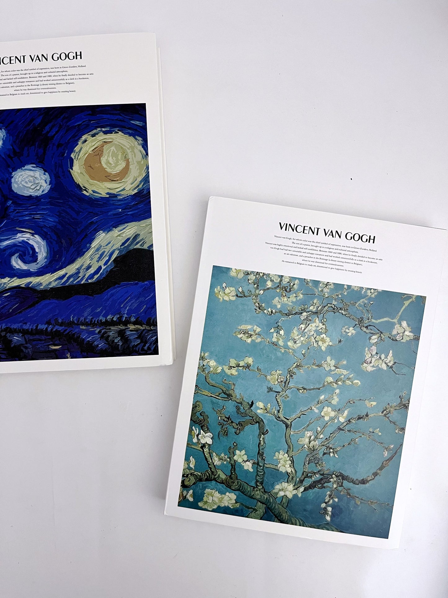 Vincent Van Gogh Sketchbook - ShopHaul