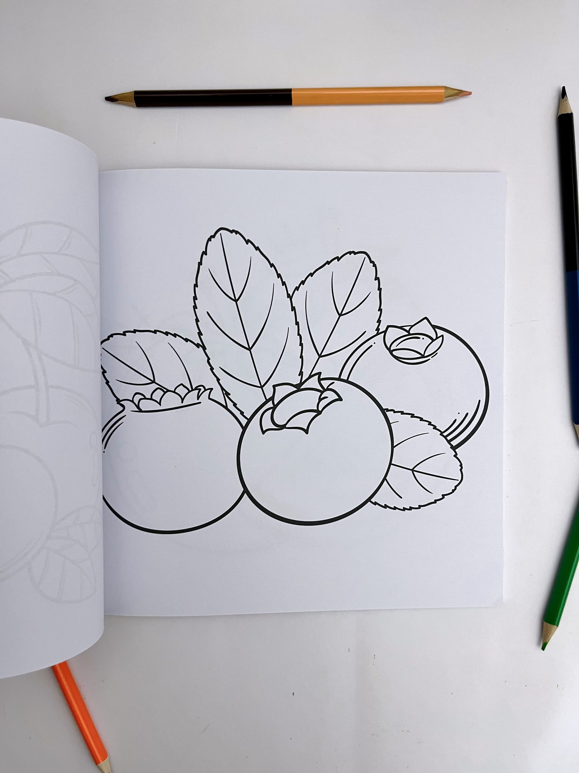 Bold and Easy Coloring Books - ShopHaul