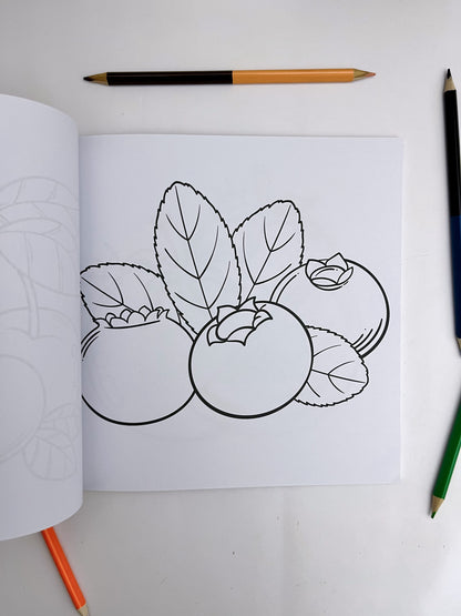 Bold and Easy Coloring Books - ShopHaul