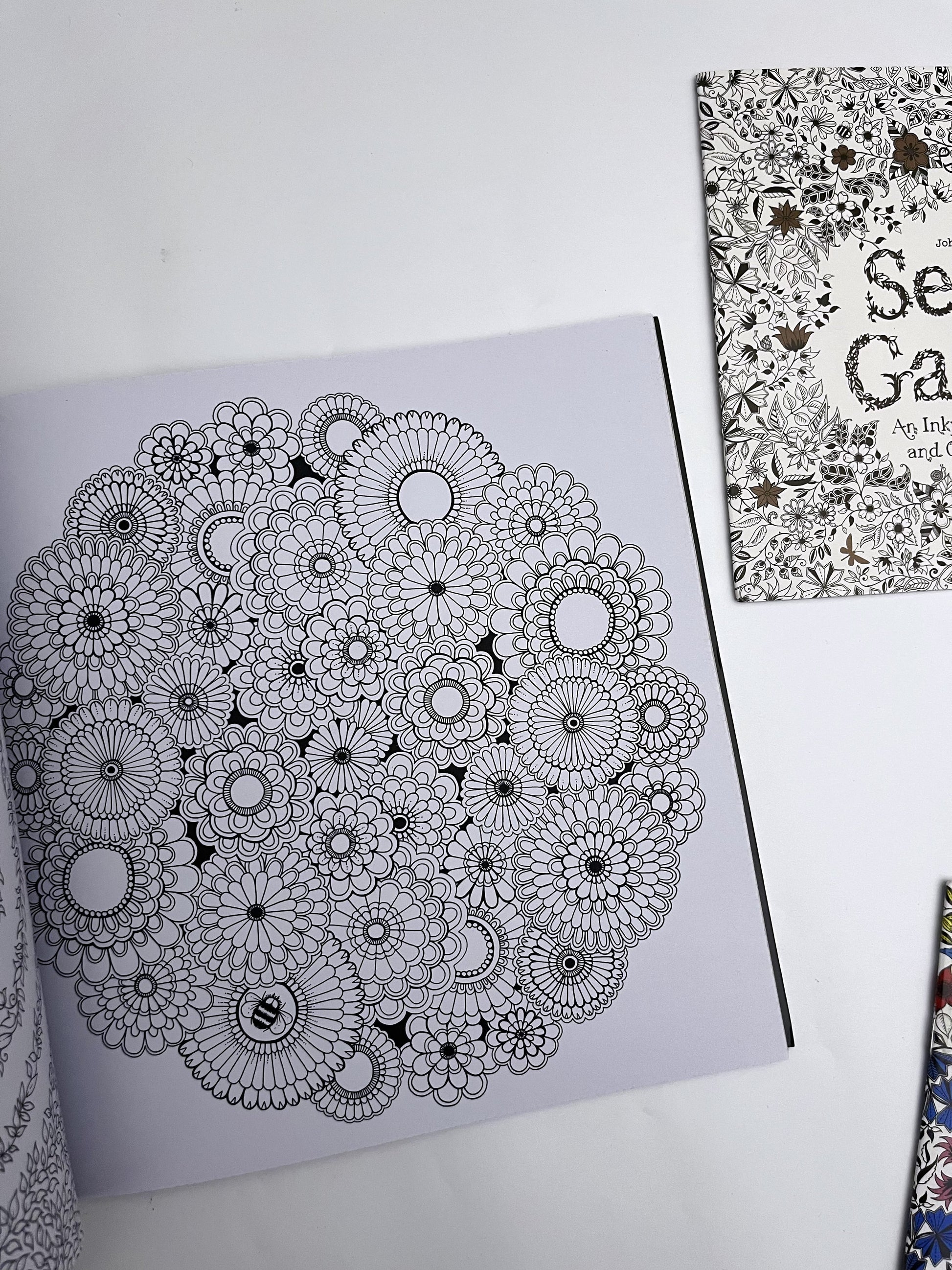Large Secret Garden Coloring Book - ShopHaul