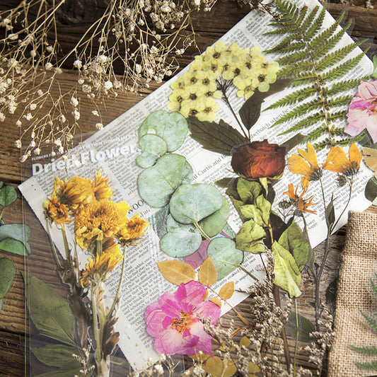 Dried Flower Stickers Set - ShopHaul